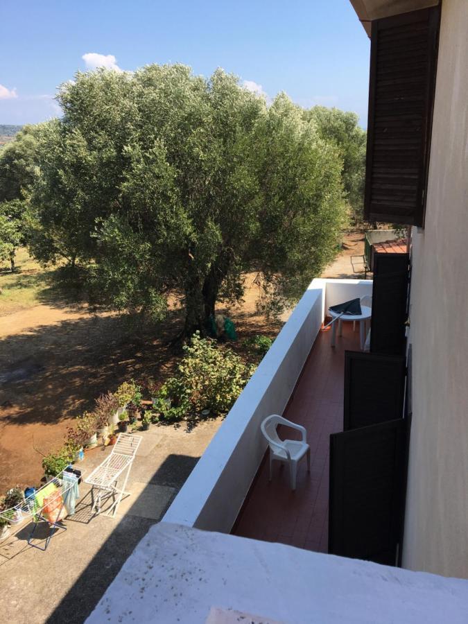 Casa Vacanza Maria Antonieta Marina di Camerota Zewnętrze zdjęcie