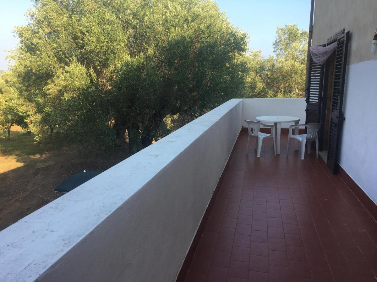 Casa Vacanza Maria Antonieta Marina di Camerota Zewnętrze zdjęcie