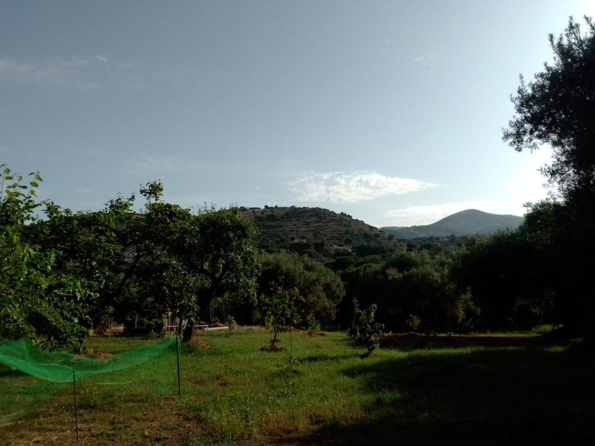 Casa Vacanza Maria Antonieta Marina di Camerota Zewnętrze zdjęcie