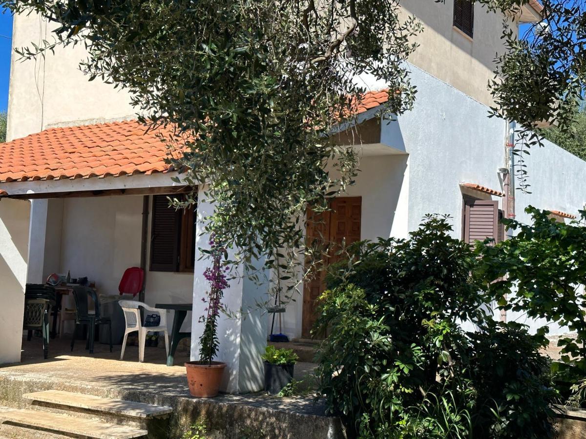 Casa Vacanza Maria Antonieta Marina di Camerota Zewnętrze zdjęcie